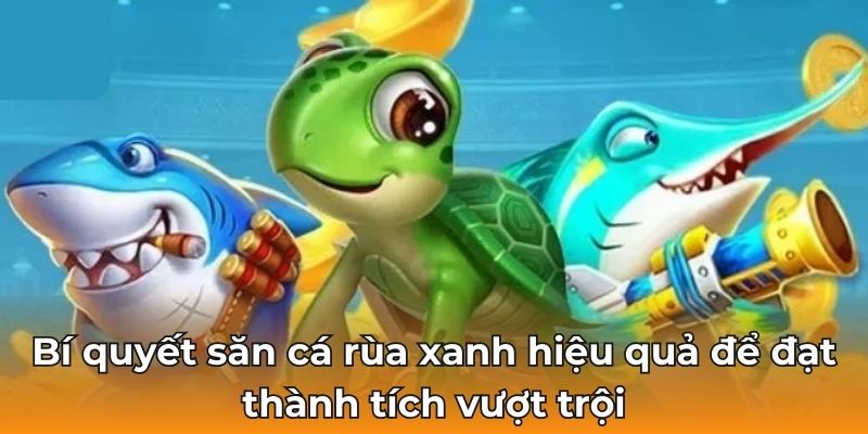 Bí quyết săn cá rùa xanh hiệu quả để đạt thành tích vượt trội