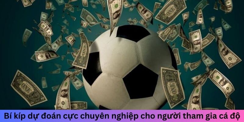 Bí kíp dự đoán cực chuyên nghiệp cho người tham gia cá độ