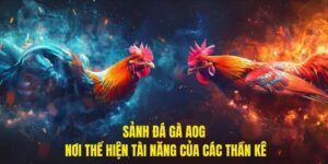 Sảnh Đá Gà AOG