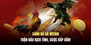 Sảnh Đá Gà Ws168